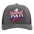 Baseball Dad