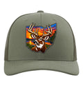 Deer & Ohio Scene
